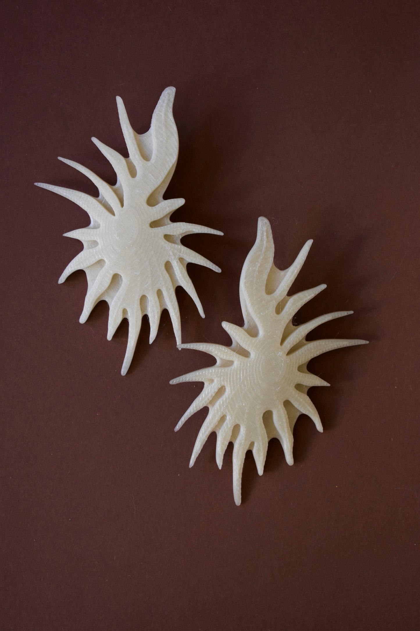FOSSILE