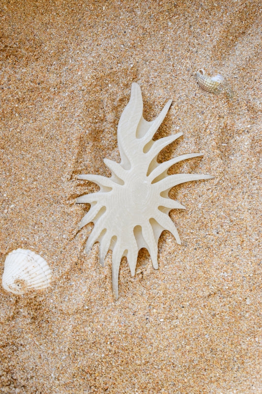FOSSILE